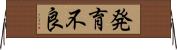 発育不良 Horizontal Wall Scroll