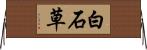 白石草 Horizontal Wall Scroll