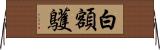 白額鸌 Horizontal Wall Scroll