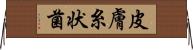 皮膚糸状菌 Horizontal Wall Scroll