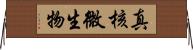 真核微生物 Horizontal Wall Scroll