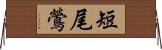 短尾鶯 Horizontal Wall Scroll
