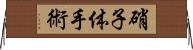 硝子体手術 Horizontal Wall Scroll