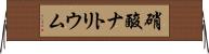 硝酸ナトリウム Horizontal Wall Scroll