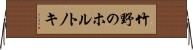 竹野のホルトノキ Horizontal Wall Scroll