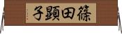 篠田顕子 Horizontal Wall Scroll