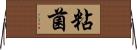 粘菌 Horizontal Wall Scroll