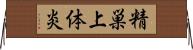 精巣上体炎 Horizontal Wall Scroll