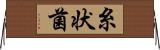 糸状菌 Horizontal Wall Scroll