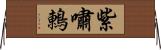 紫嘯鶇 Horizontal Wall Scroll