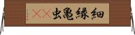 細縁亀虫(rK) Horizontal Wall Scroll