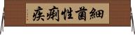 細菌性痢疾 Horizontal Wall Scroll