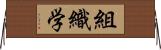 組織学 Horizontal Wall Scroll