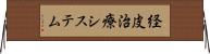 経皮治療システム Horizontal Wall Scroll
