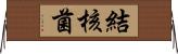 結核菌 Horizontal Wall Scroll