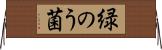 緑のう菌 Horizontal Wall Scroll