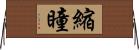 縮瞳 Horizontal Wall Scroll