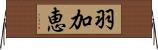 羽加恵 Horizontal Wall Scroll