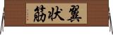 翼状筋 Horizontal Wall Scroll