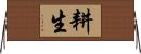 耕生 Horizontal Wall Scroll