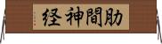 肋間神経 Horizontal Wall Scroll