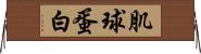 肌球蛋白 Horizontal Wall Scroll