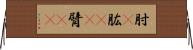 肘(P);肱(oK);臂(oK) Horizontal Wall Scroll