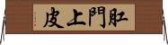 肛門上皮 Horizontal Wall Scroll