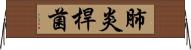 肺炎桿菌 Horizontal Wall Scroll