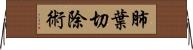 肺葉切除術 Horizontal Wall Scroll
