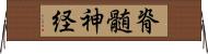 脊髄神経 Horizontal Wall Scroll