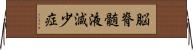 脳脊髄液減少症 Horizontal Wall Scroll