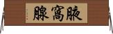腋窩腺 Horizontal Wall Scroll