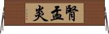 腎盂炎 Horizontal Wall Scroll