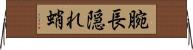 腕長隠れ蛸 Horizontal Wall Scroll