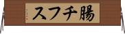 腸チフス Horizontal Wall Scroll