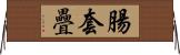 腸套疊 Horizontal Wall Scroll