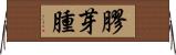 膠芽腫 Horizontal Wall Scroll