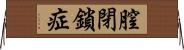 膣閉鎖症 Horizontal Wall Scroll