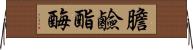 膽鹼酯酶 Horizontal Wall Scroll