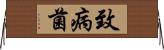 致病菌 Horizontal Wall Scroll