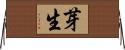 芽生 Horizontal Wall Scroll