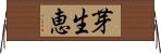 芽生恵 Horizontal Wall Scroll