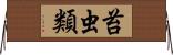 苔虫類 Horizontal Wall Scroll