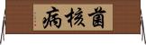 菌核病 Horizontal Wall Scroll