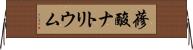 蓚酸ナトリウム Horizontal Wall Scroll