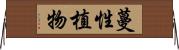 蔓性植物 Horizontal Wall Scroll