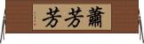 蕭芳芳 Horizontal Wall Scroll