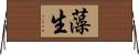 藻生 Horizontal Wall Scroll