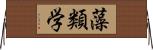 藻類学 Horizontal Wall Scroll